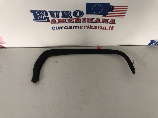 Rear Molding (right)